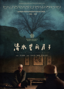 国产精品久久久久精品综合
